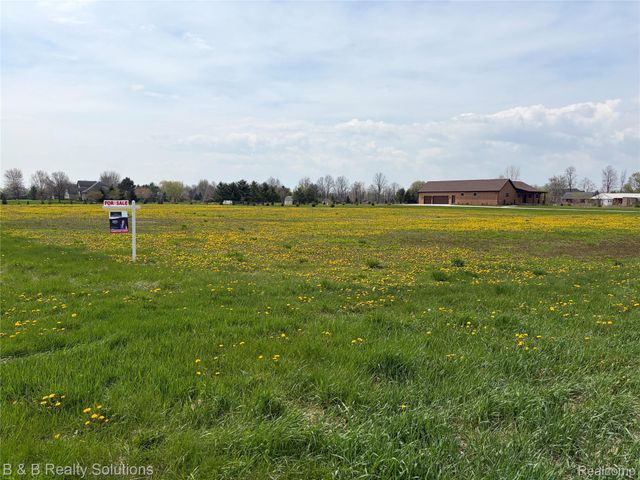 0 Prunella Drive, Almont Township, MI 48003