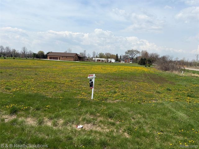 0 Prunella Drive, Almont Township, MI 48003