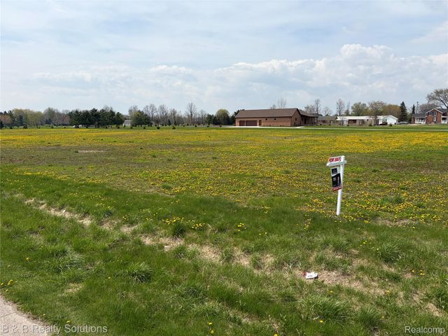 0 Prunella Drive, Almont Township, MI 48003