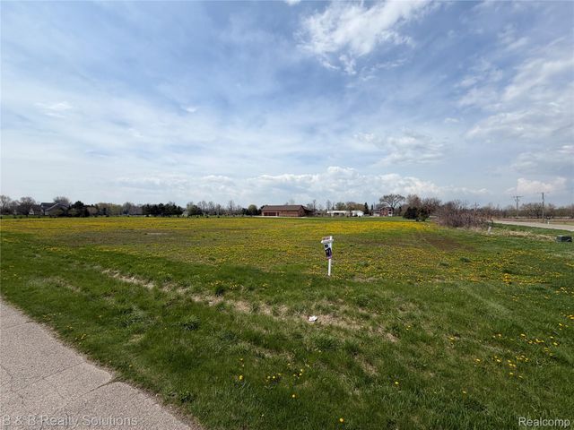 0 Prunella Drive, Almont Township, MI 48003
