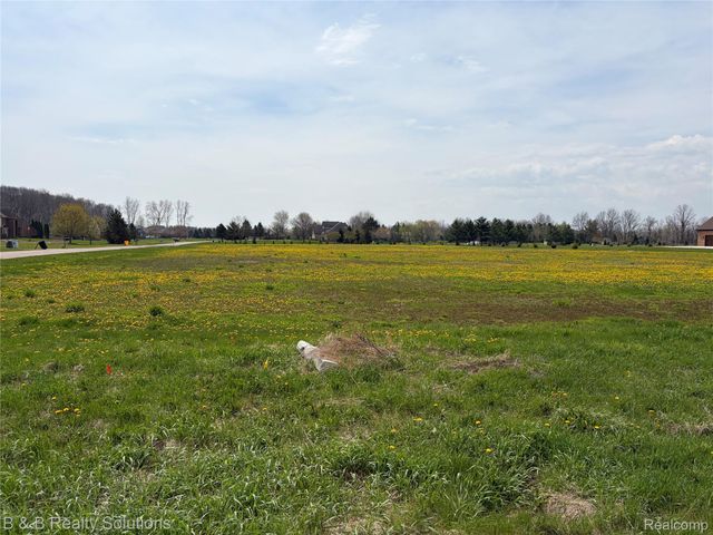 0 Prunella Drive, Almont Township, MI 48003