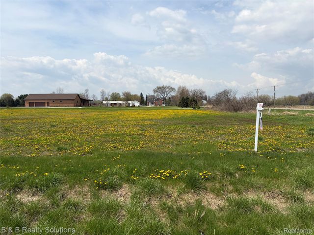 0 Prunella Drive, Almont Township, MI 48003