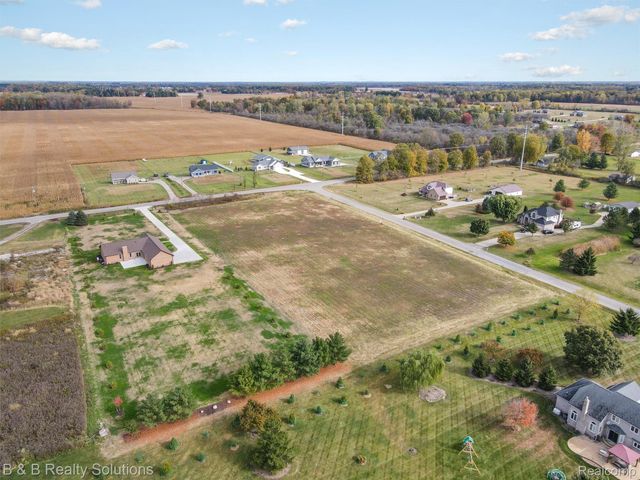 0 Prunella Drive, Almont Township, MI 48003