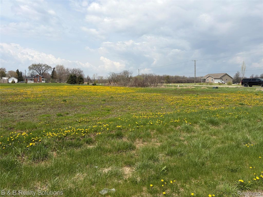 0 Prunella Drive, Almont Township, MI 48003