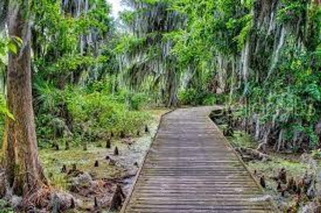 5268 GREENHEART AVENUE, Mount Dora, FL 32757