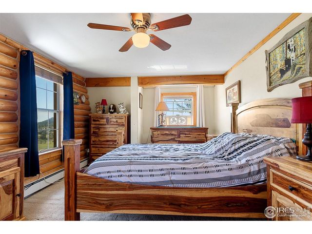 490 Gordon Ct, Livermore, CO 80536