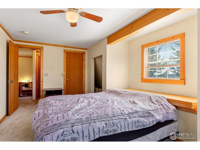 490 Gordon Ct, Livermore, CO 80536