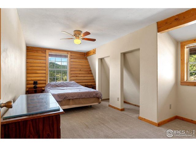 490 Gordon Ct, Livermore, CO 80536