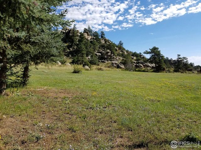 490 Gordon Ct, Livermore, CO 80536