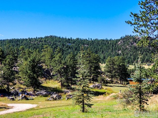 490 Gordon Ct, Livermore, CO 80536