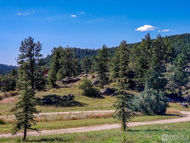 490 Gordon Ct, Livermore, CO 80536