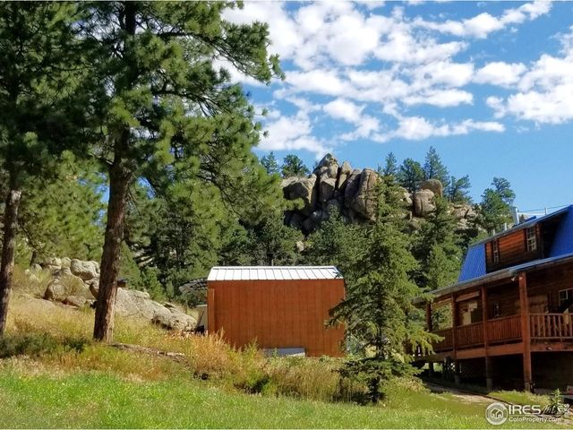 490 Gordon Ct, Livermore, CO 80536