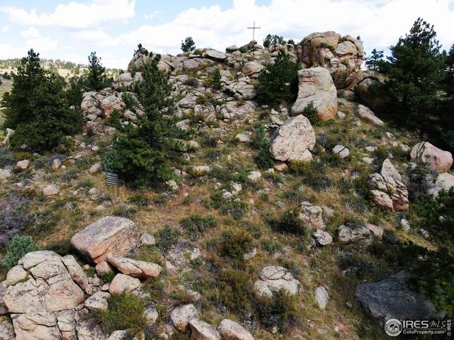 490 Gordon Ct, Livermore, CO 80536