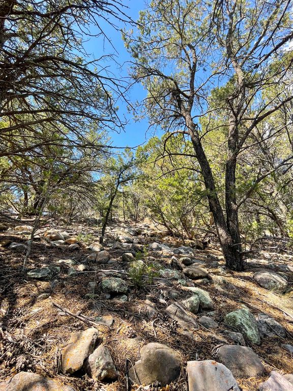Image 13 of property listing at 00 High Sierra Road, Sandia Park, NM 87047