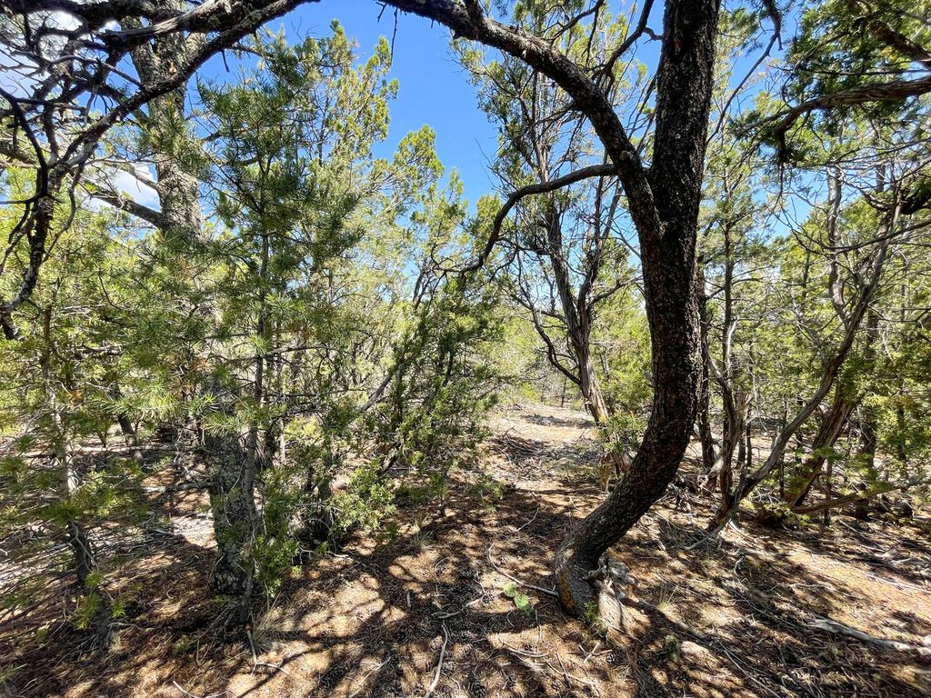 Image 15 of property listing at 00 High Sierra Road, Sandia Park, NM 87047