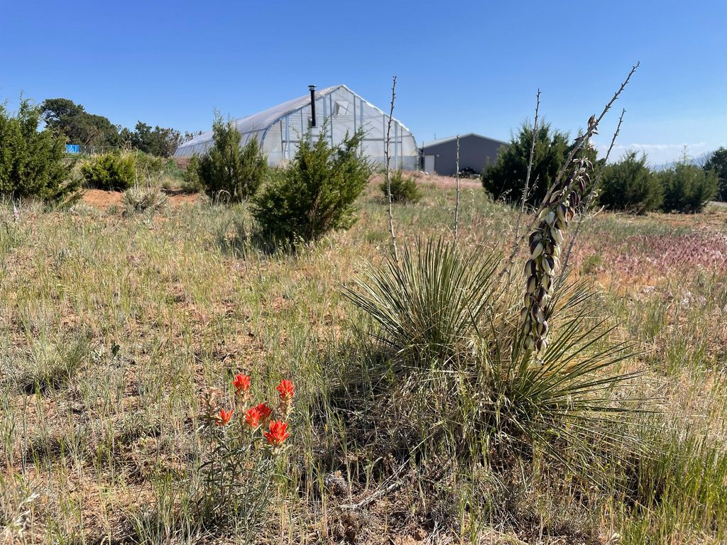 Image 4 of property listing at 00 High Sierra Road, Sandia Park, NM 87047