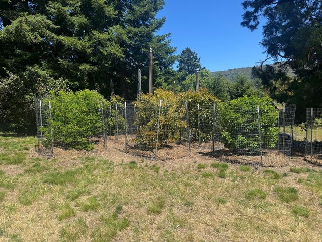 20378 Black Road, Los Gatos, CA 95033