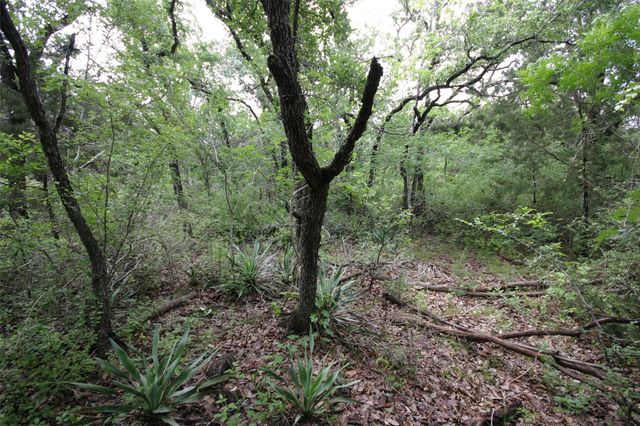 1900 County Road 156, Georgetown, TX 78628