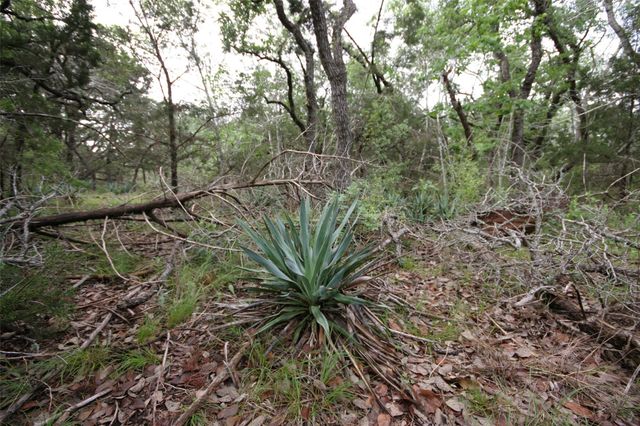 1900 County Road 156, Georgetown, TX 78628