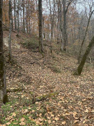 0 Red Boiling Road Springs, Red Boiling Springs, TN 37150