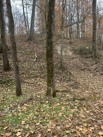 0 Red Boiling Road Springs, Red Boiling Springs, TN 37150