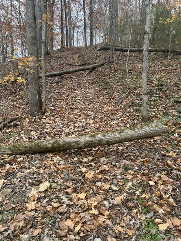 0 Red Boiling Road Springs, Red Boiling Springs, TN 37150