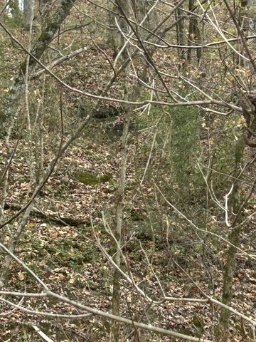 0 Red Boiling Road Springs, Red Boiling Springs, TN 37150