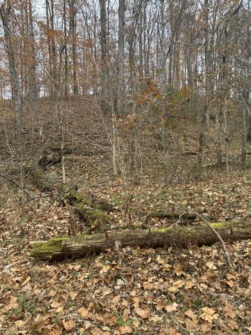 0 Red Boiling Road Springs, Red Boiling Springs, TN 37150