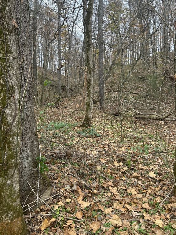 0 Red Boiling Road Springs, Red Boiling Springs, TN 37150