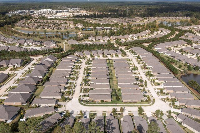 406 Thistle Thorn Drive, The Woodlands, TX 77382