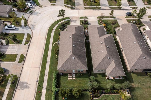 406 Thistle Thorn Drive, The Woodlands, TX 77382