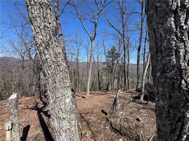 438 Dogwood Circle, Traphill, NC 28685