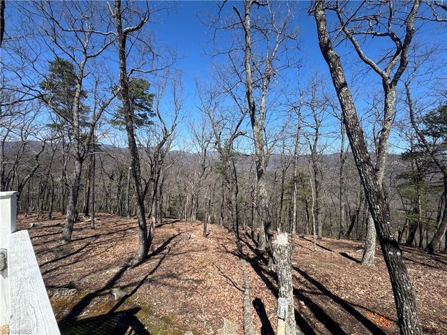 438 Dogwood Circle, Traphill, NC 28685