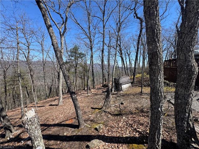 438 Dogwood Circle, Traphill, NC 28685