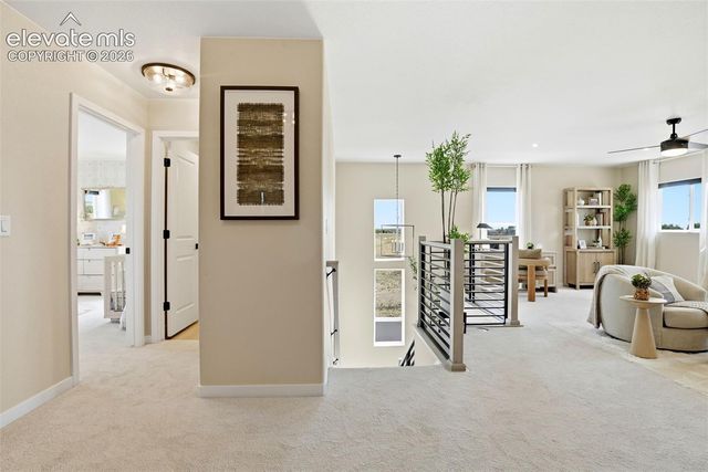 6712 Chelsea Thicket Court, Colorado Springs, CO 80924