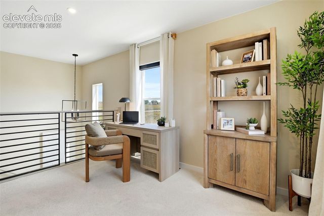 6712 Chelsea Thicket Court, Colorado Springs, CO 80924