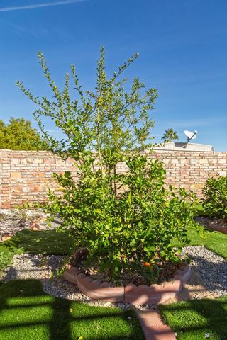 11428 E 37 St, Yuma, AZ 85367