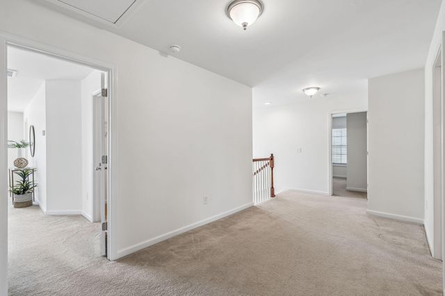 2254 Show Basket Way, Mount Pleasant, SC 29466