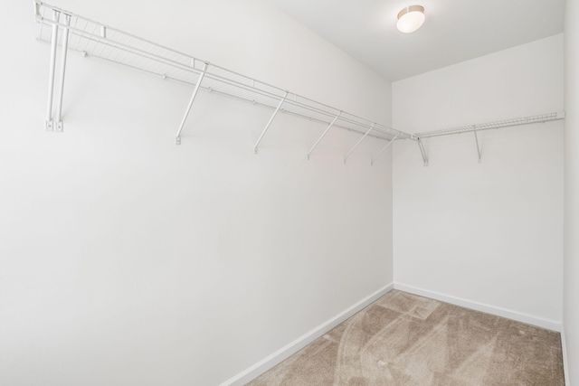 2254 Show Basket Way, Mount Pleasant, SC 29466