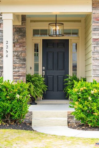 2254 Show Basket Way, Mount Pleasant, SC 29466