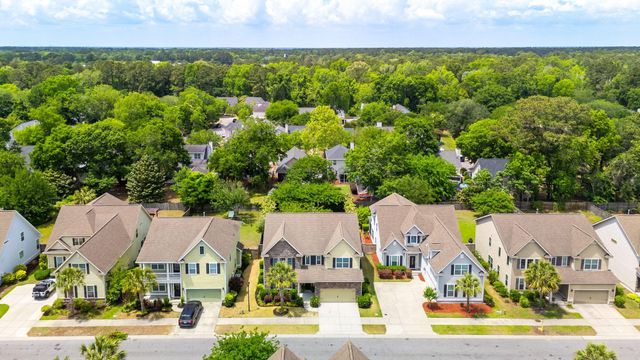 2254 Show Basket Way, Mount Pleasant, SC 29466