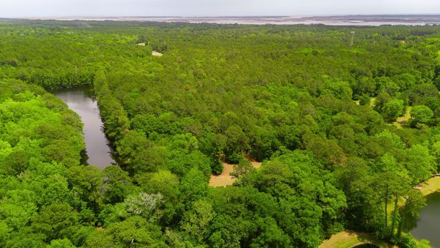 2254 Show Basket Way, Mount Pleasant, SC 29466