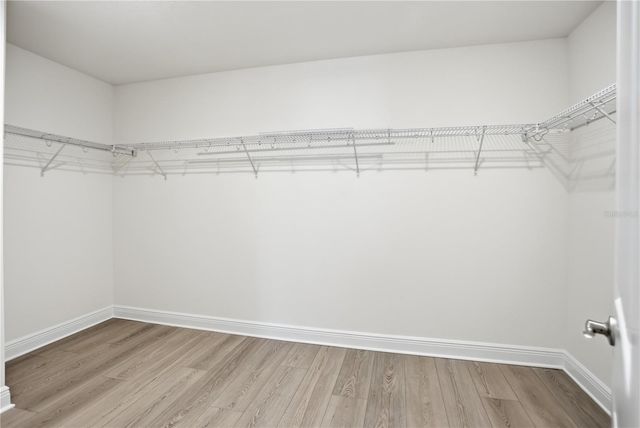 2985 WATER CLOVER COURT, Apopka, FL 32712