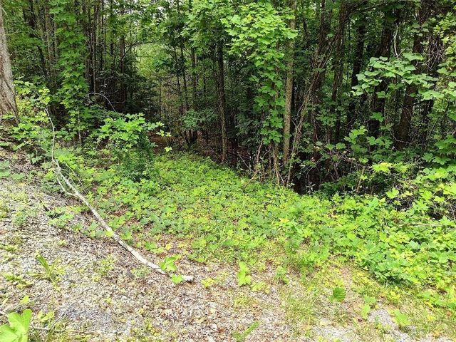330 Adair Drive, Ranger, GA 30734