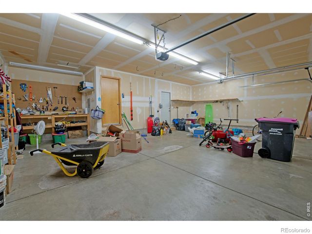 8594 Citation Drive, Wellington, CO 80549