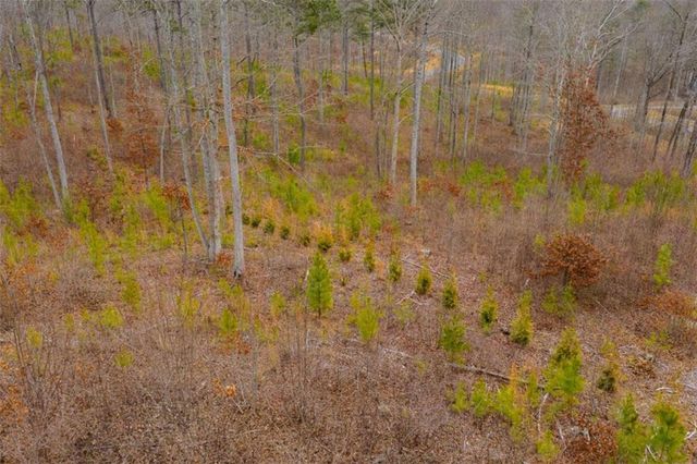 LT 141 Twisted Oak Road, Talking Rock, GA 30175