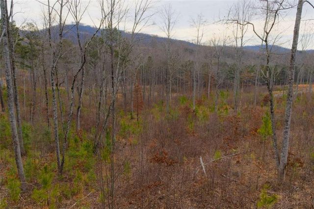 LT 141 Twisted Oak Road, Talking Rock, GA 30175