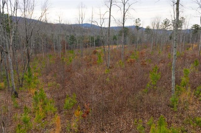 LT 141 Twisted Oak Road, Talking Rock, GA 30175