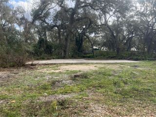 11459 CR 678, Webster, FL 33597