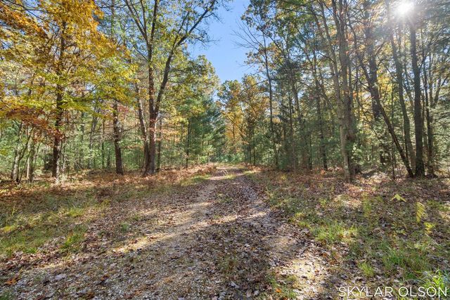 10711 N Tuttle Road, Free Soil, MI 49411